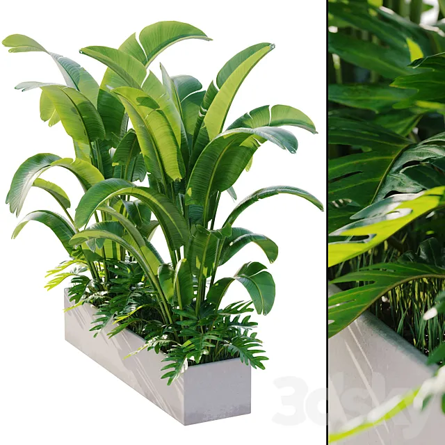 outdoor plant set 12 3ds Max