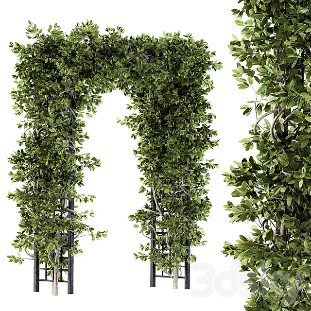 Outdoor Plant Set 121 – Pergola Ivy 3DS Max Model