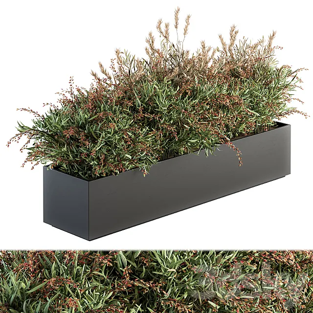 Outdoor Plant Set 166 – Plant Box Bush 3DSMax File