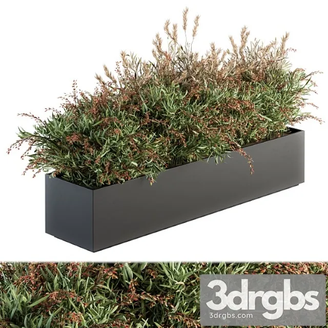 Outdoor plant set 166 – plant box bush