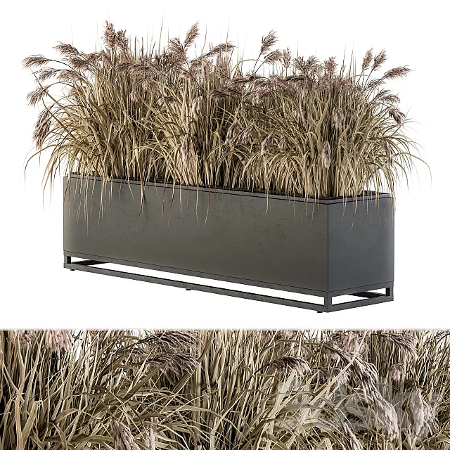 Outdoor Plant Set 184 – Plant Box Dried 3ds Max