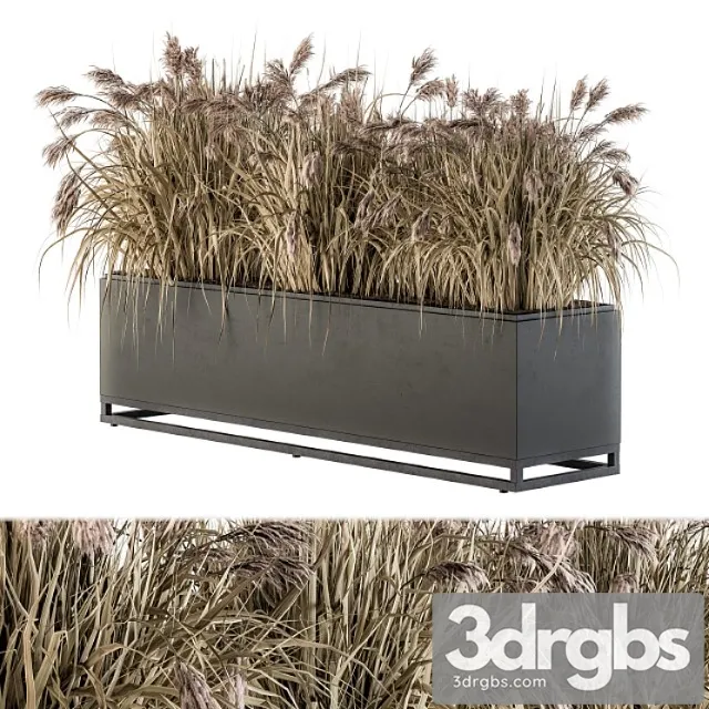 Outdoor plant set 184 – plant box dried