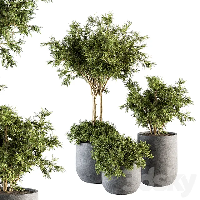 Outdoor Plant Set 198 – Plant and Tree in Pot 3DS Max Model