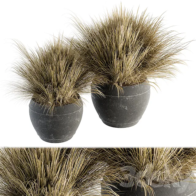 Outdoor Plant Set 204 – Dried Grass in Pot 3DSMax File