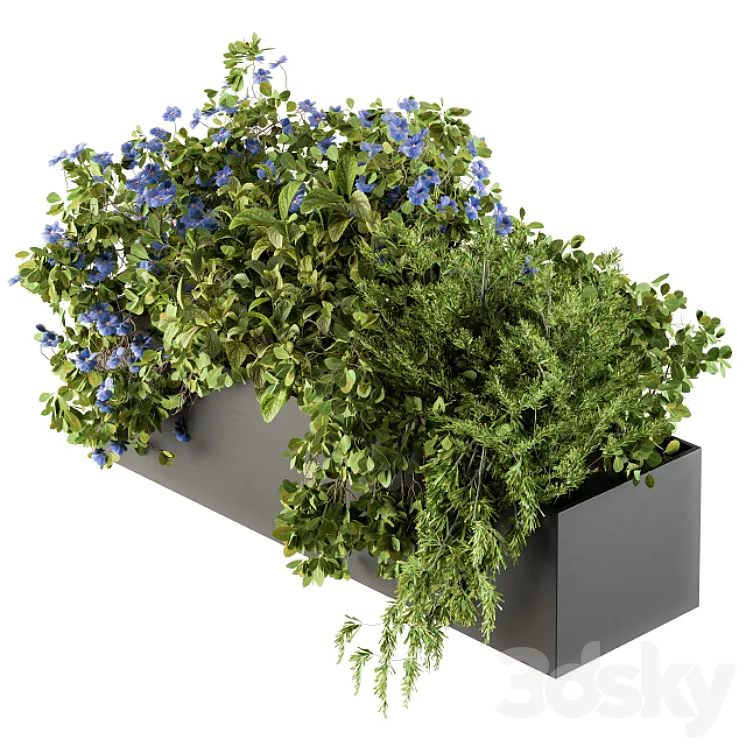 Outdoor Plant Set 208 – Plant Box Blue Flower 3DS Max