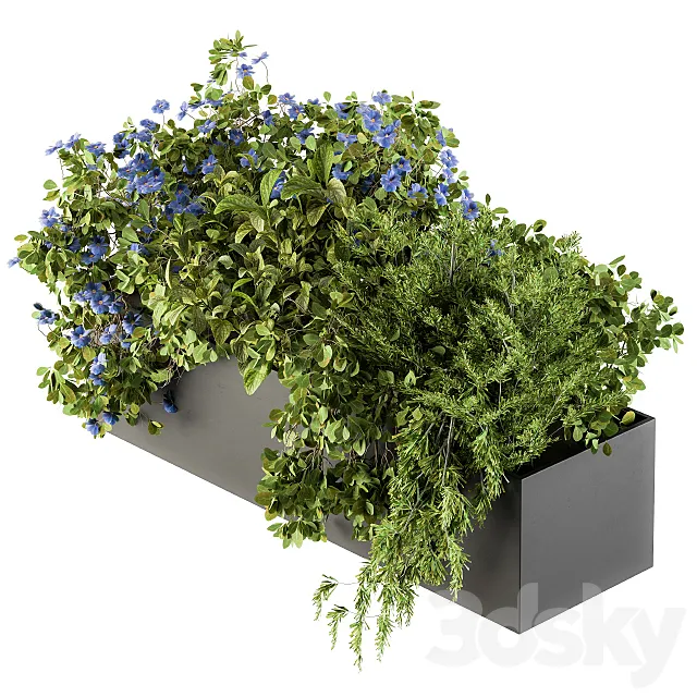 Outdoor Plant Set 208 – Plant Box Blue Flower 3DSMax File