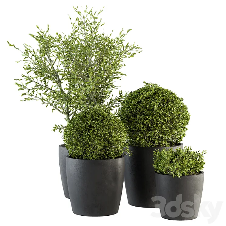 Outdoor Plant Set 209 – Plant and Tree in Pot 3DS Max