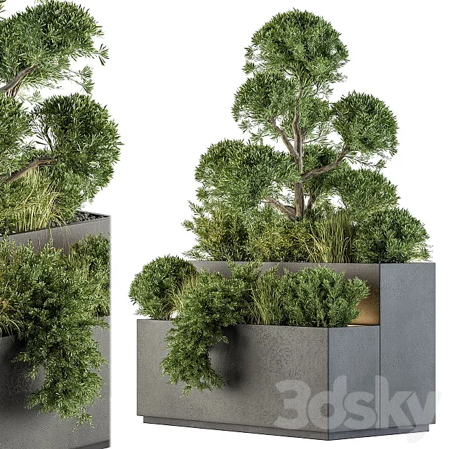 Outdoor Plant Set 214 – Plant Box 3DS Max Model