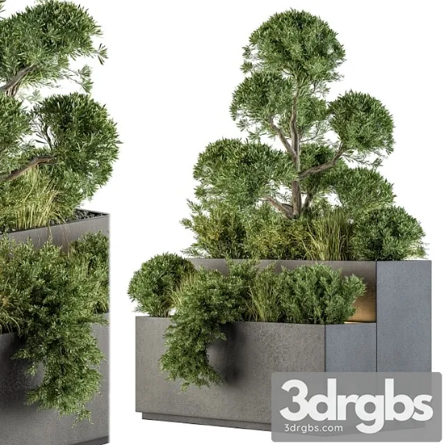 Outdoor plant set 214 – plant box