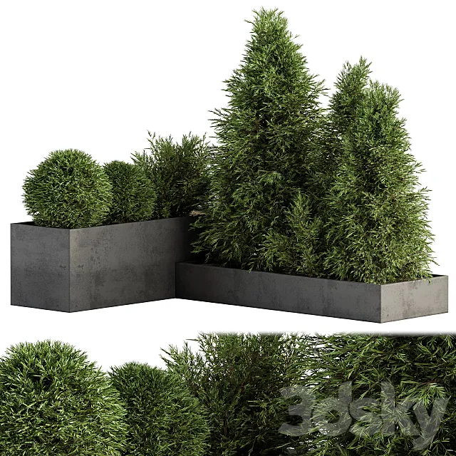 Outdoor Plant Set 231 – Plant Box with Tree 3DS Max Model