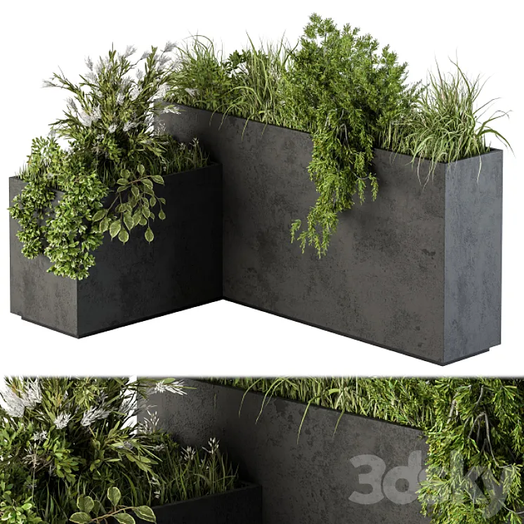 Outdoor Plant Set 248 – Plant L Type Box 3DS Max