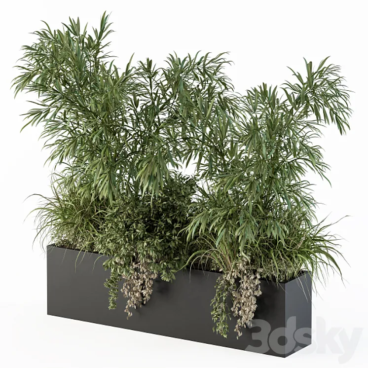 Outdoor Plant Set 252 – Plant Box with Bamboo Tree 3DS Max