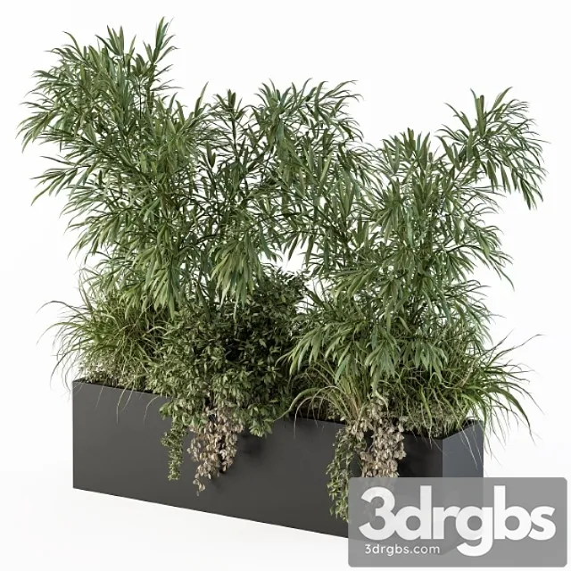 Outdoor plant set 252 – plant box with bamboo tree