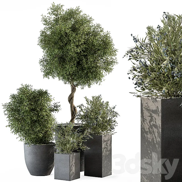 Outdoor Plant Set 273 – Plant Set in Concrete Pot 3DS Max Model