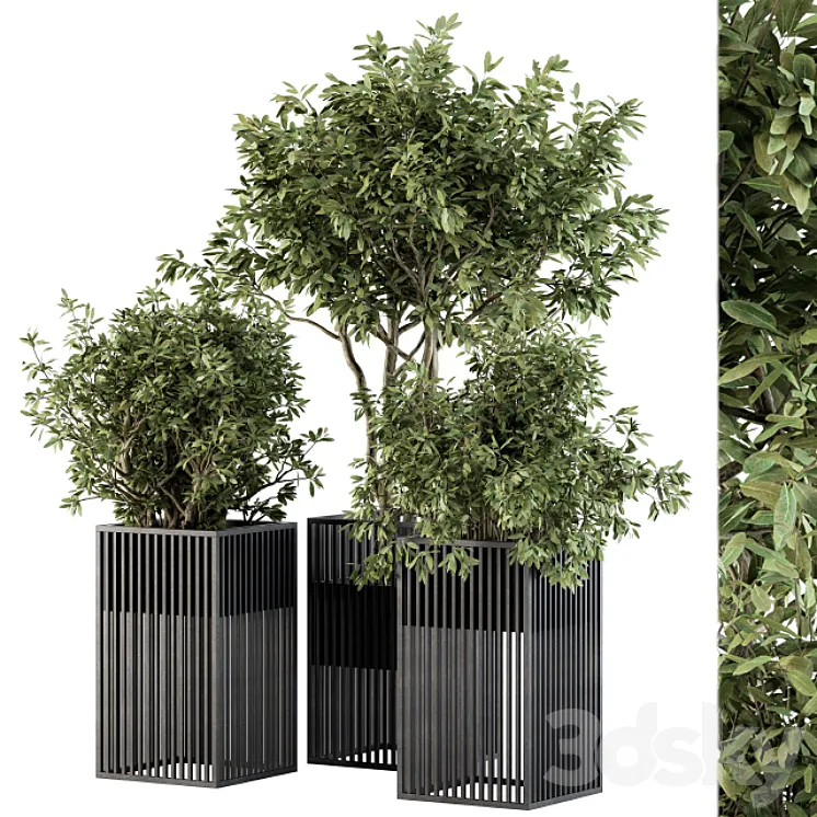 Outdoor Plant Set 276 – Plant Set in Metal Pot 3DS Max