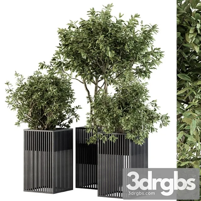 Outdoor plant set 276 – plant set in metal pot