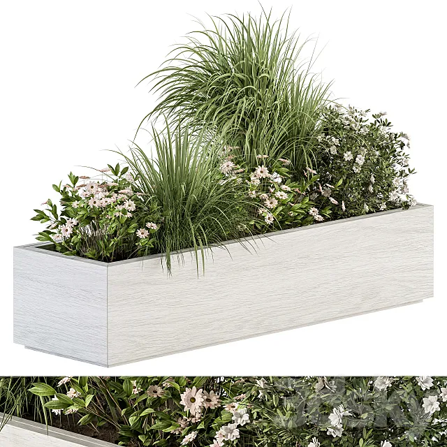 Outdoor Plant Set 290 – Plant Box 3DSMax File