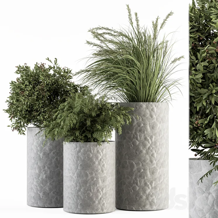 Outdoor Plant Set 292 – Plant Set in Concrete Pot 3DS Max Model