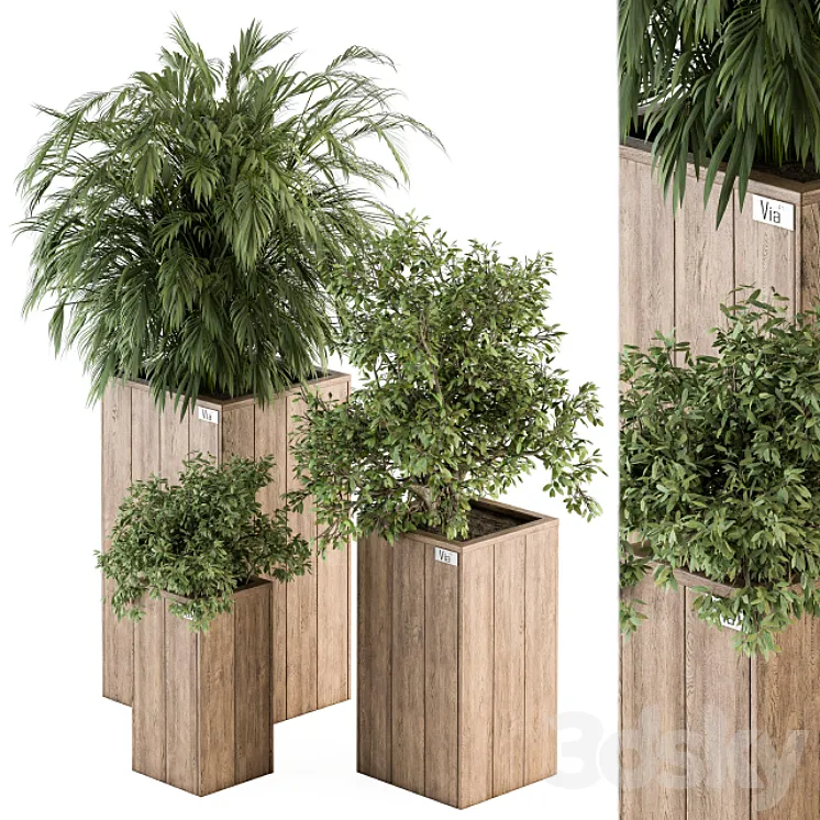Outdoor Plant Set 297 – Wooden Plant Box 3DS Max Model