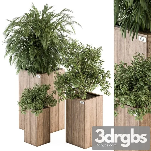 Outdoor plant set 297 – wooden plant box