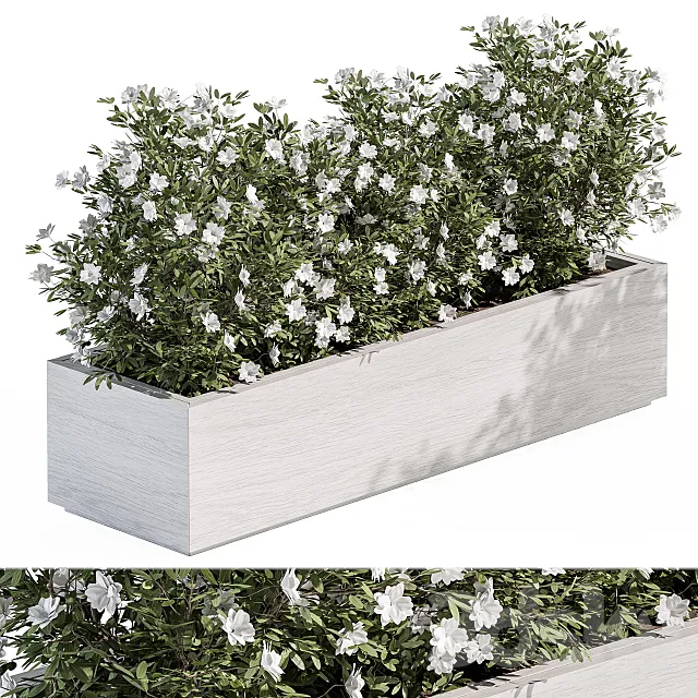 Outdoor Plant Set 304 – Plant Box 3ds Max