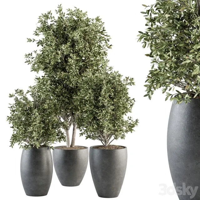 Outdoor Plant Set 306 3dsMax Model
