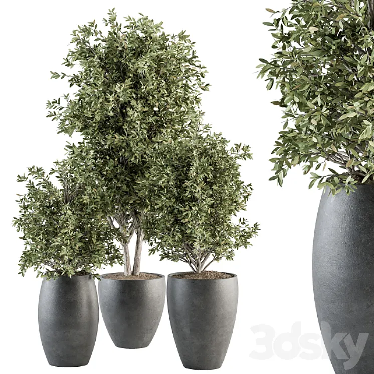 Outdoor Plant Set 306- Plant and Tree Set 3DS Max