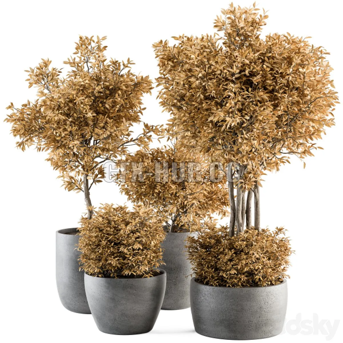 Outdoor Plant Set 322 3dsMax Model