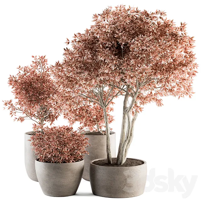 Outdoor Plant Set 359 – Pink Plant Set in Concrete Pot 3DSMax File