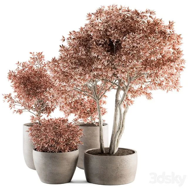 Outdoor Plant Set 359 – Pink Plant Set in Concrete Pot 3dsMax Model