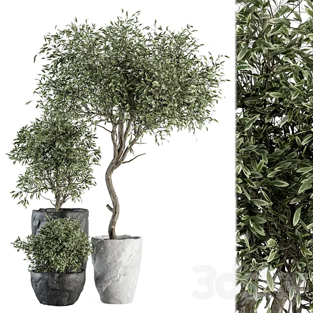 Outdoor Plant Set 363 – Plant Set in Stone Pot 3DSMax File