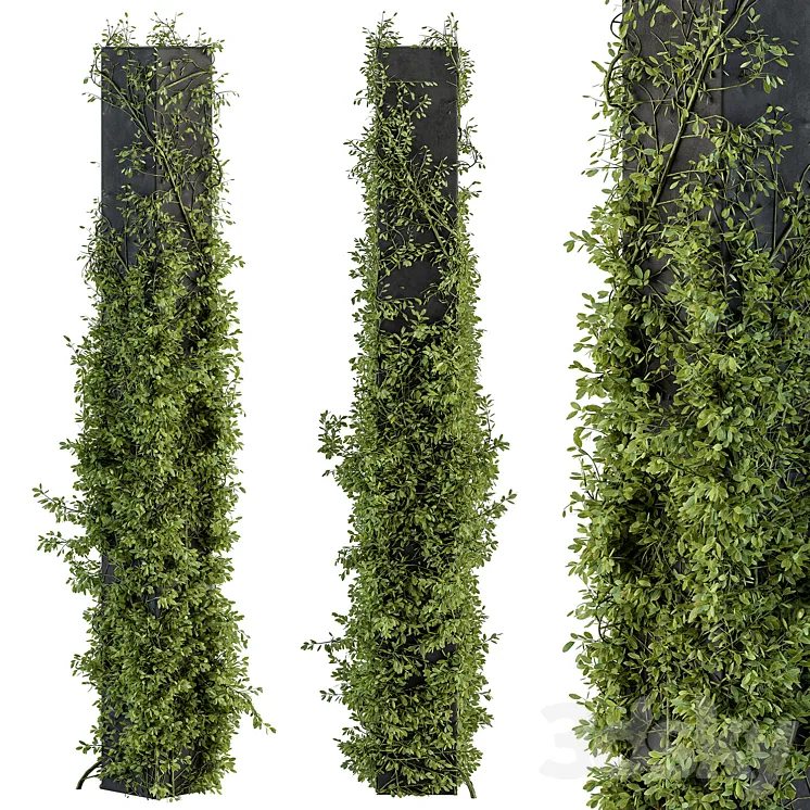 Outdoor Plant Set 394 – ivy on Column 3DS Max