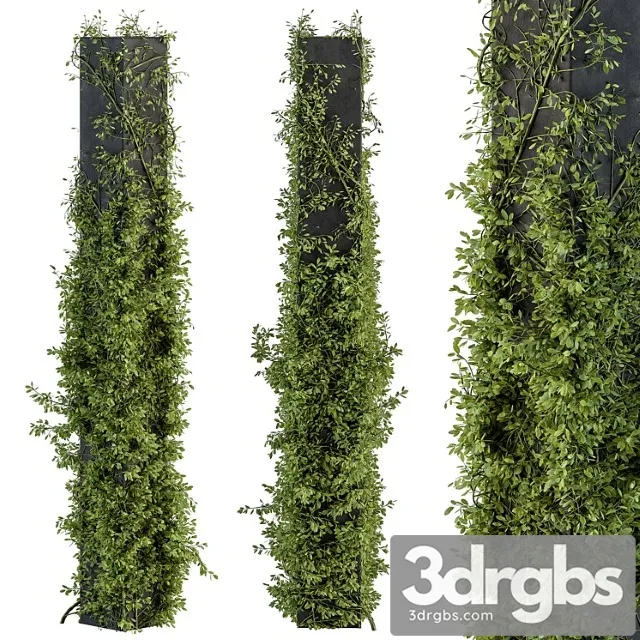 Outdoor plant set 394 – ivy on column