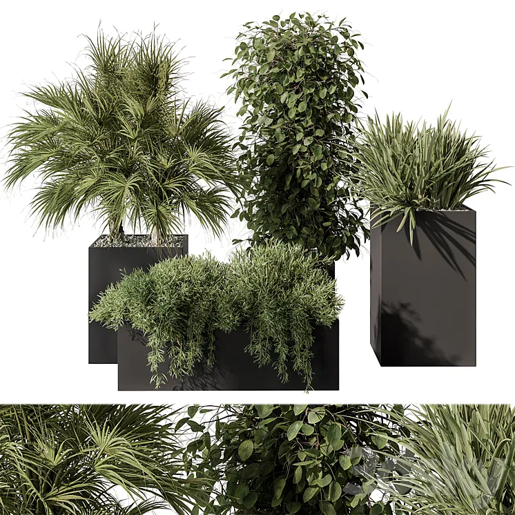 Outdoor Plant Set 402 – Plant Set in Plant Box 3DS Max