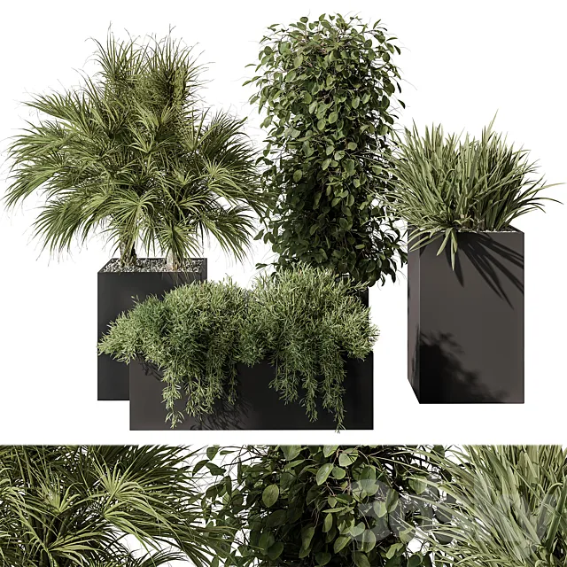 Outdoor Plant Set 402 – Plant Set in Plant Box 3DSMax File