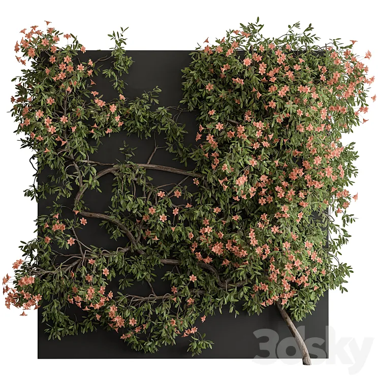 Outdoor Plant Set 426- Ivy on Wall 3DS Max
