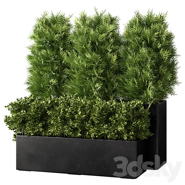 Outdoor Plant Set.84 3dsMax Model