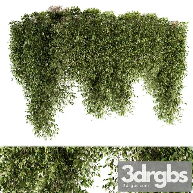 Outdoor plant set 96 – hanging plants