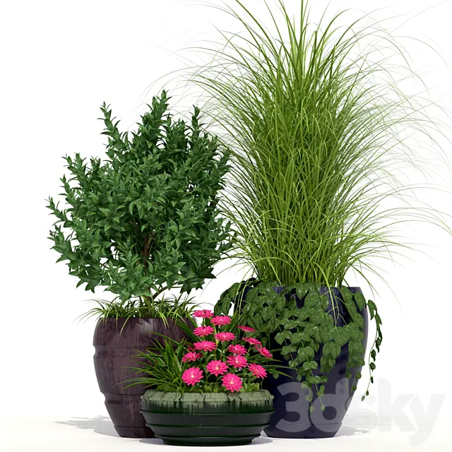 Outdoor Planters 3DS Max Model