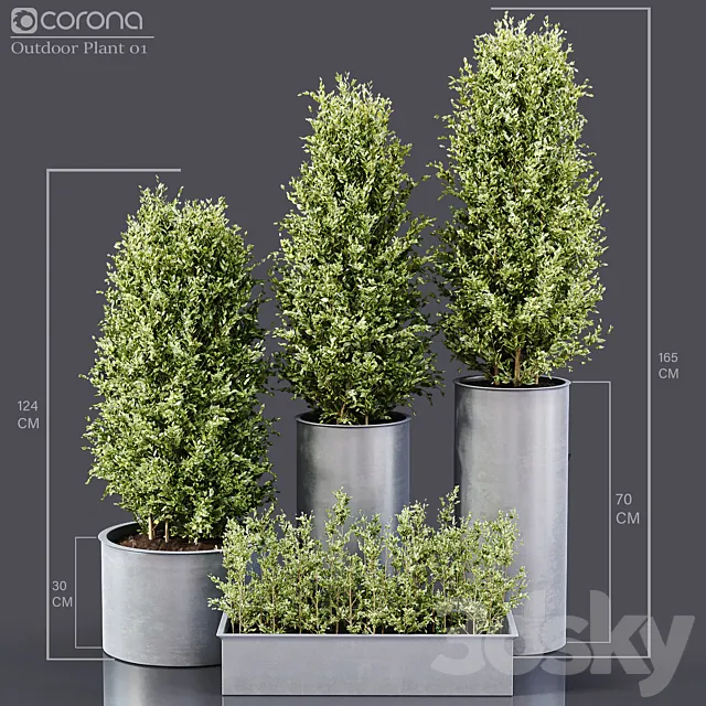 Outdoor Plants 01 3DSMax File