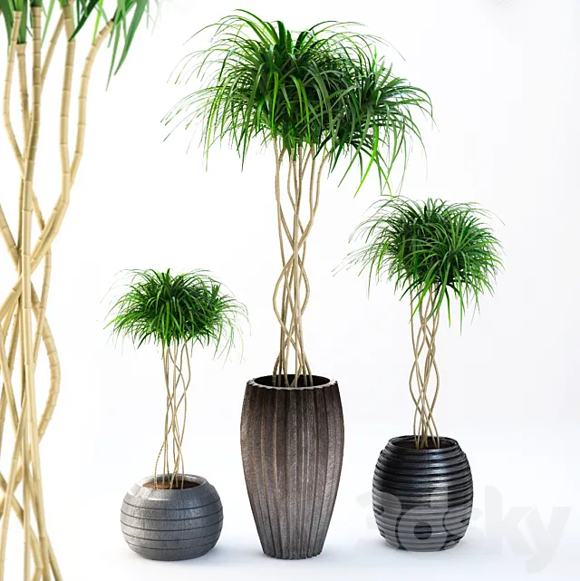 outdoor plants 3DSMax File
