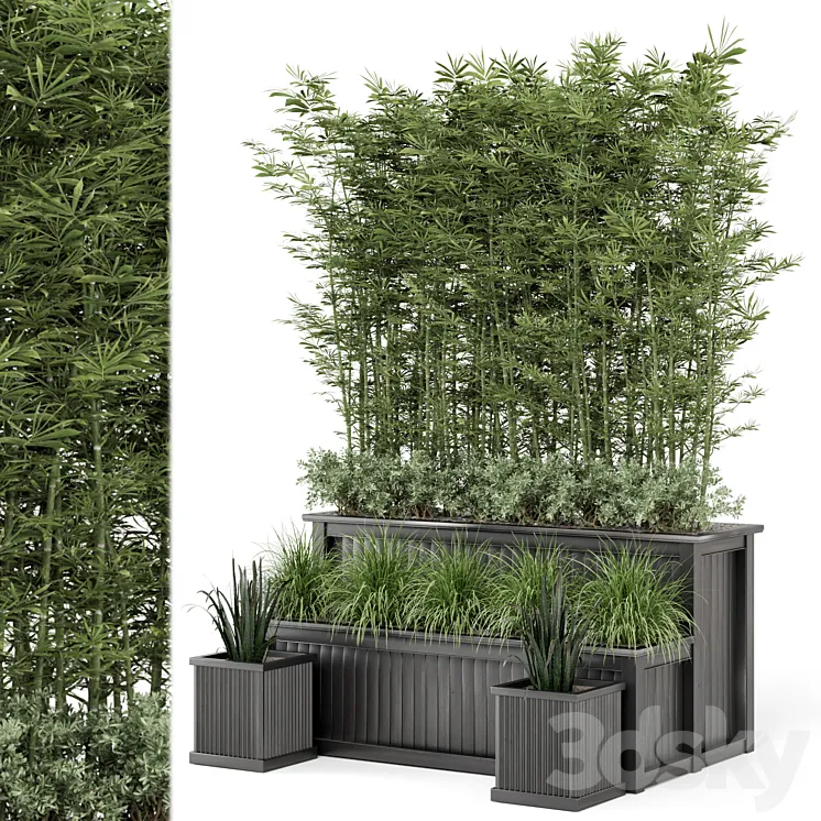 Outdoor Plants Bamboo and bush in Wooden Pot -Set 195 3DS Max