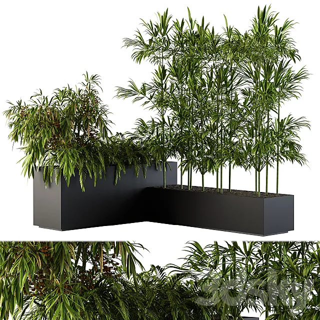 Outdoor Plants Black Plastic Box – Set 73 3DSMax File