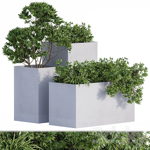 Outdoor Plants Box Concrete 3ds Max