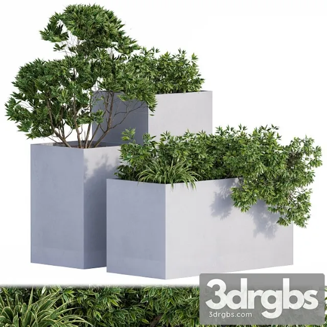 Outdoor plants box concrete