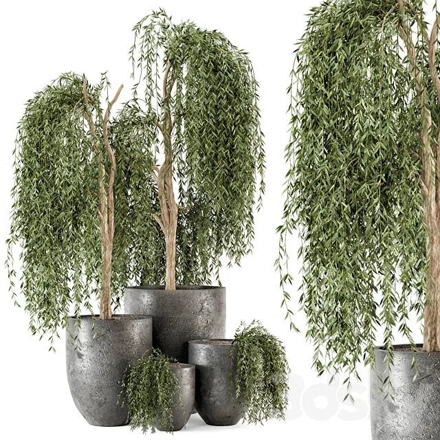 Outdoor Plants bush and Tree in rusty Dark Concrete Pot – Set 52 3DS Max Model