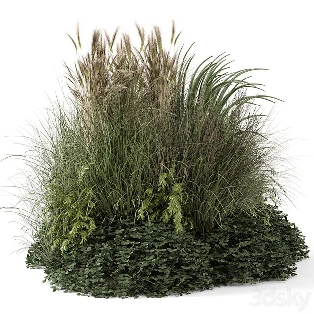 Outdoor Plants Bush-Bush Set 1644 3dsMax Model