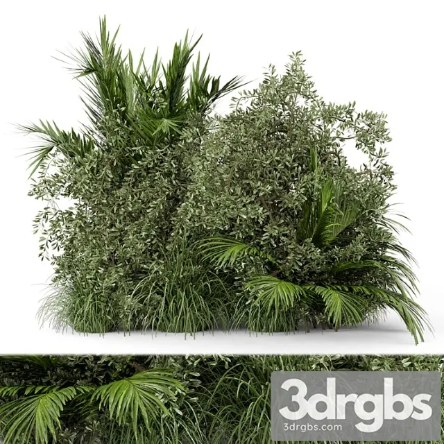 Outdoor plants bush-bush set 446