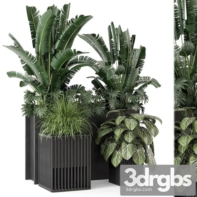 Outdoor Plants Bush in Metal Pot Set 1074 3dsmax Download