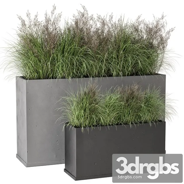 Outdoor Plants Bush in Rusty Concrete Pot Set 565 3dsmax Download